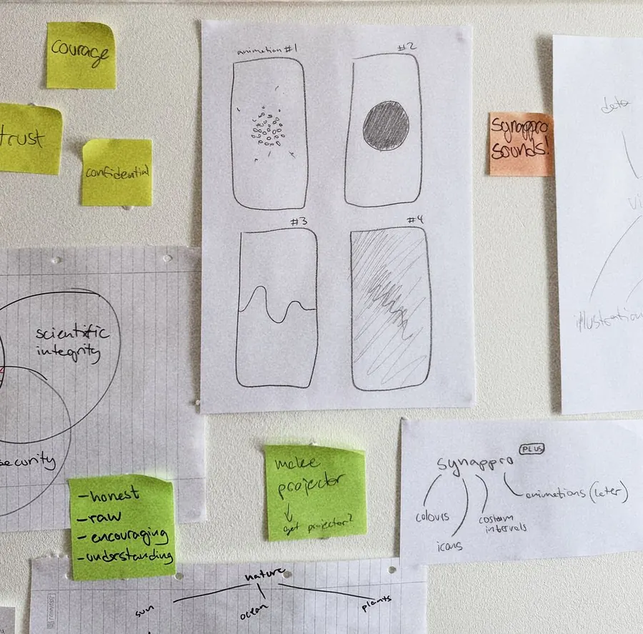 Sketches and notes from early synappro planning
