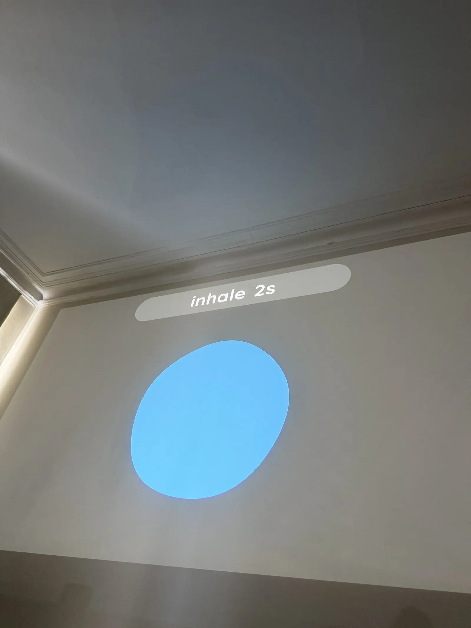 synappro display running on a screen